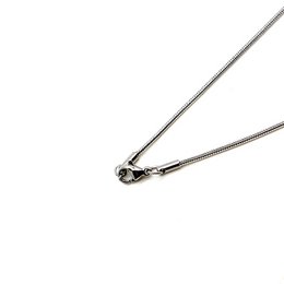 Snake mesh chain for Aromatherapy Necklace