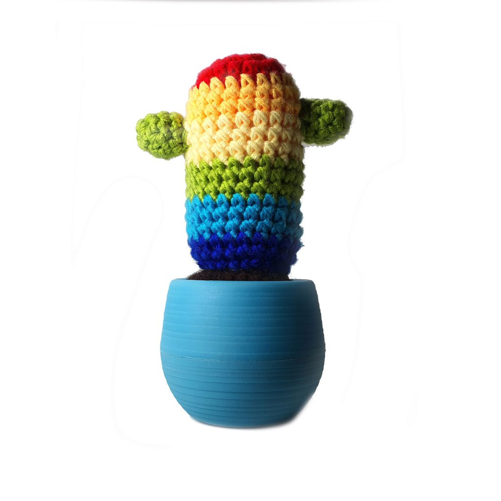 Senfhakenpaket - Kaktus Regenbogen