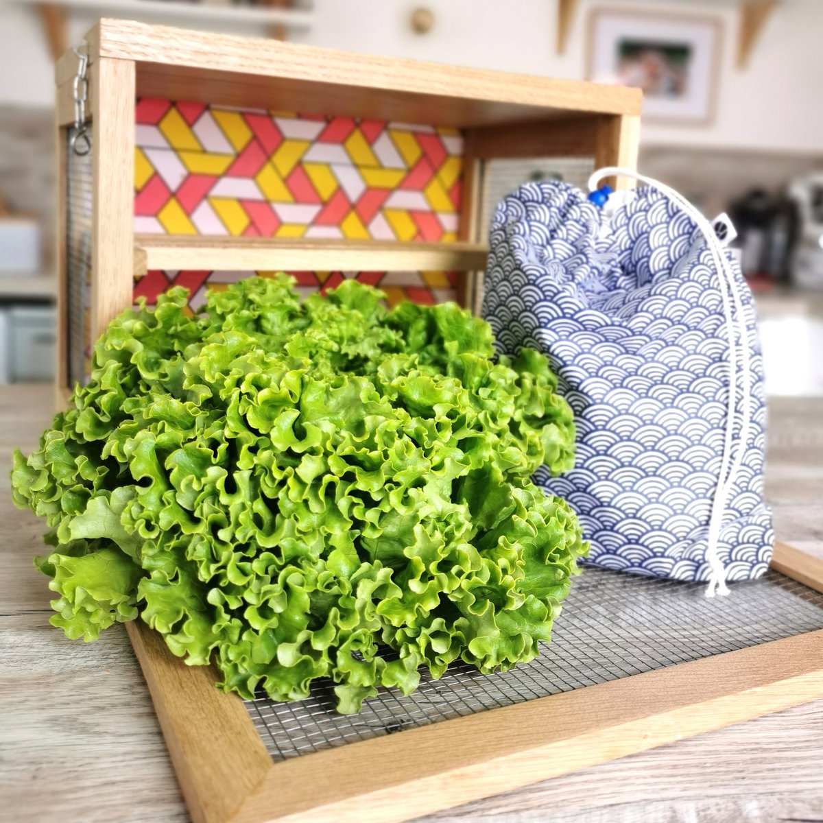 SALAD OR VEGETABLE BAG