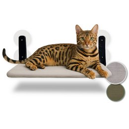 Windows CAT „Mila”