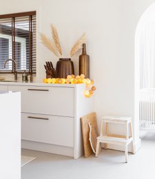Indoor regular Lichtslinger - Teddy