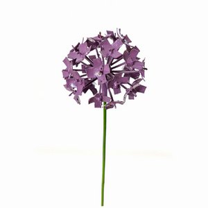 ALLIUM BLOEM PAARS