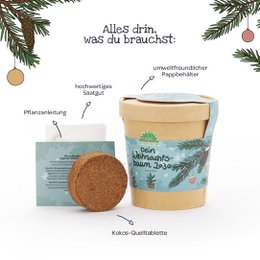 Weihnachtsbaum aus dem Becher