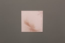 Delicate pink feather on a light background, suggesting a gentle, soft, and thoughtful gift tag.