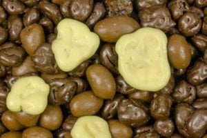 Frucht-Erdnuss-Mischung mit Bio-Schokolade 5 kg – Bulk / Vrac / Granulat / Lose