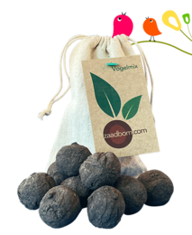10 bombas de semillas en una bolsa: Bird Mix