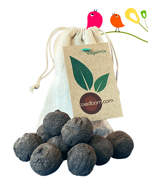 10 bombas de semillas en una bolsa: Bird Mix