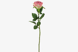 Kunstbloem Rosa roze- L8B8H70CM