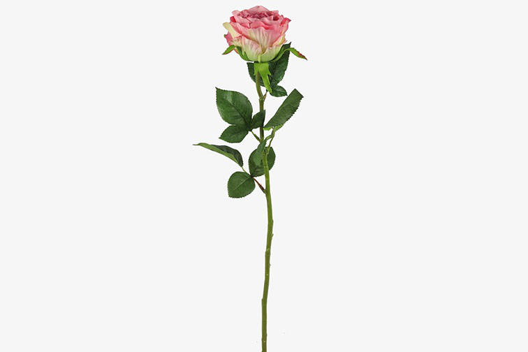 Kunstbloem Rosa roze- L8B8H70CM