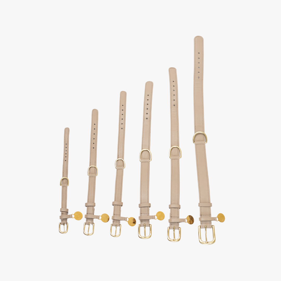 Hondenhalsband luxe leer met naam penning - Klassiek - Zand / taupe