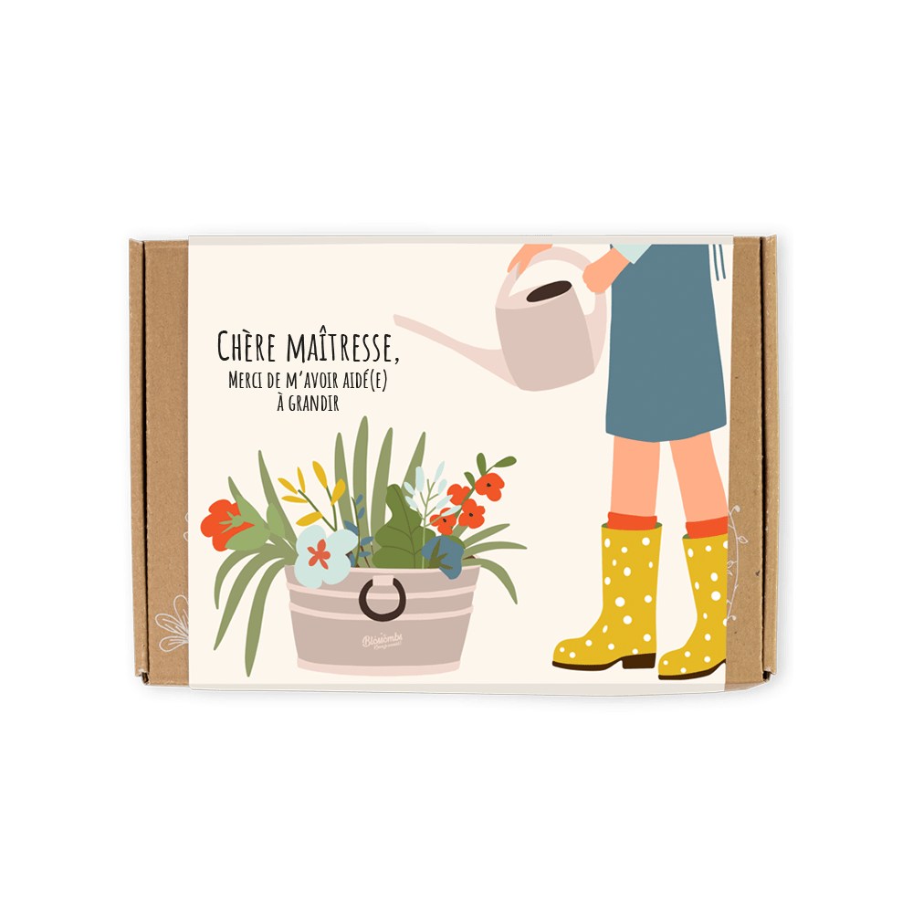 Kleine Geschenkbox mit 7 Samenbomben – Dear Mistress