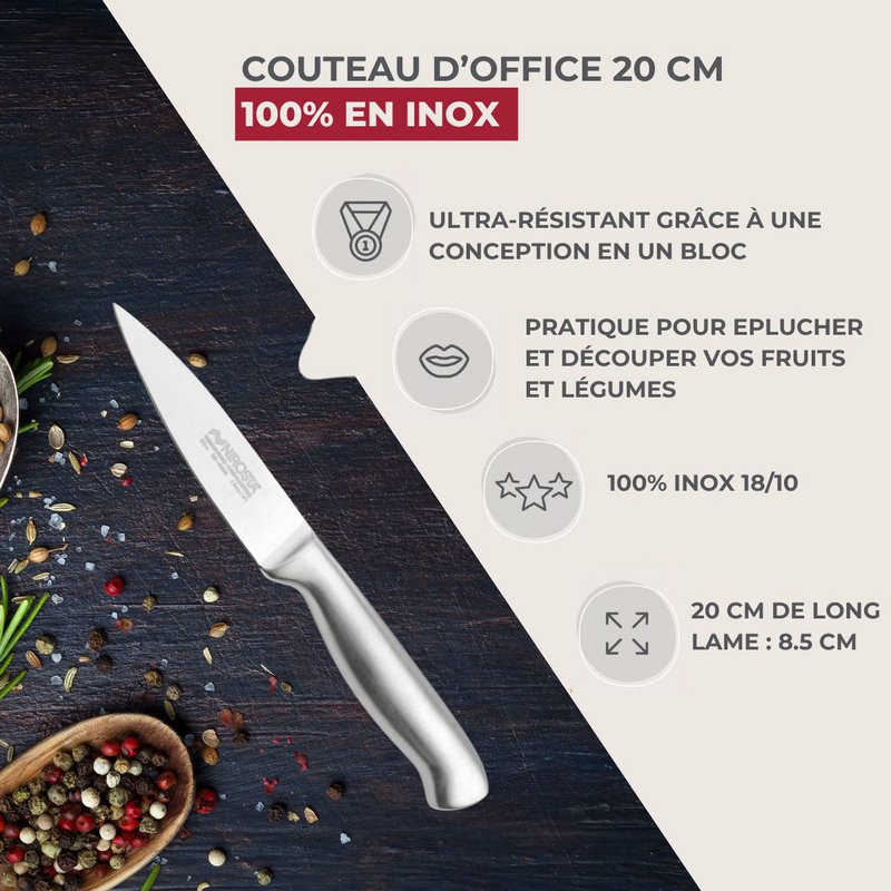 Stainless steel paring knife 20 cm in all Nirosta Star