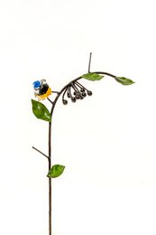 ZIMBA-ARTS Mésange bleue en métal sur raisin