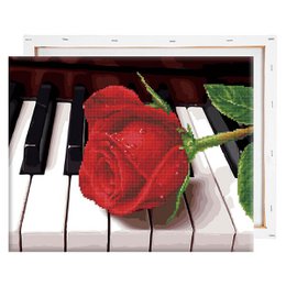Kit hybride Piano Rose