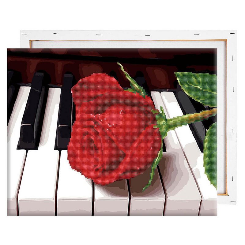 Kit hybride Piano Rose