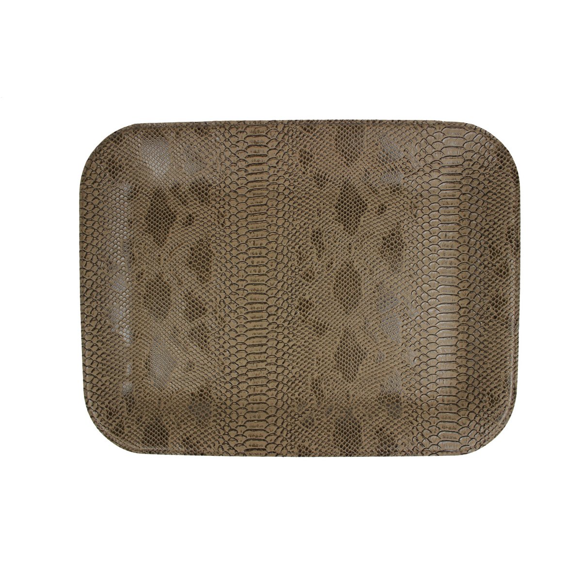 Plateau plat petit reptile marron