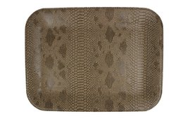 Plateau plat petit reptile marron