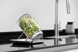 Sproutungsglas Set, 1000 ml Gläser
