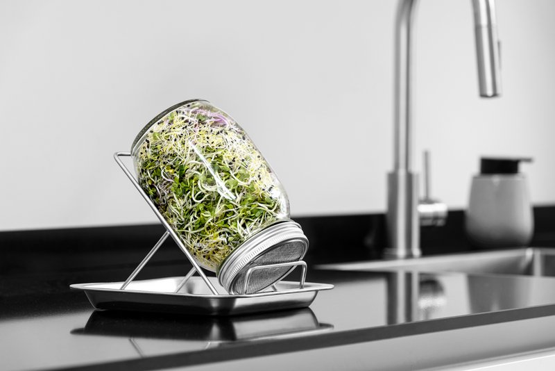 Sproutungsglas Set, 1000 ml Gläser