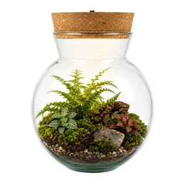 Glass Terrarium with LED Cork W-487D 17 cm