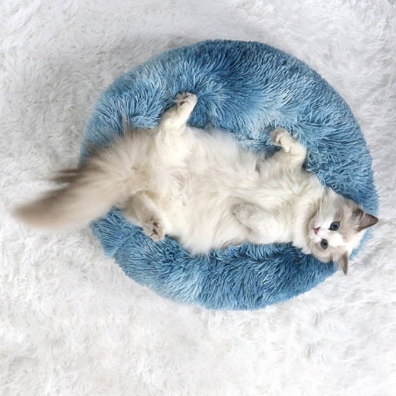 Bed cushion pets