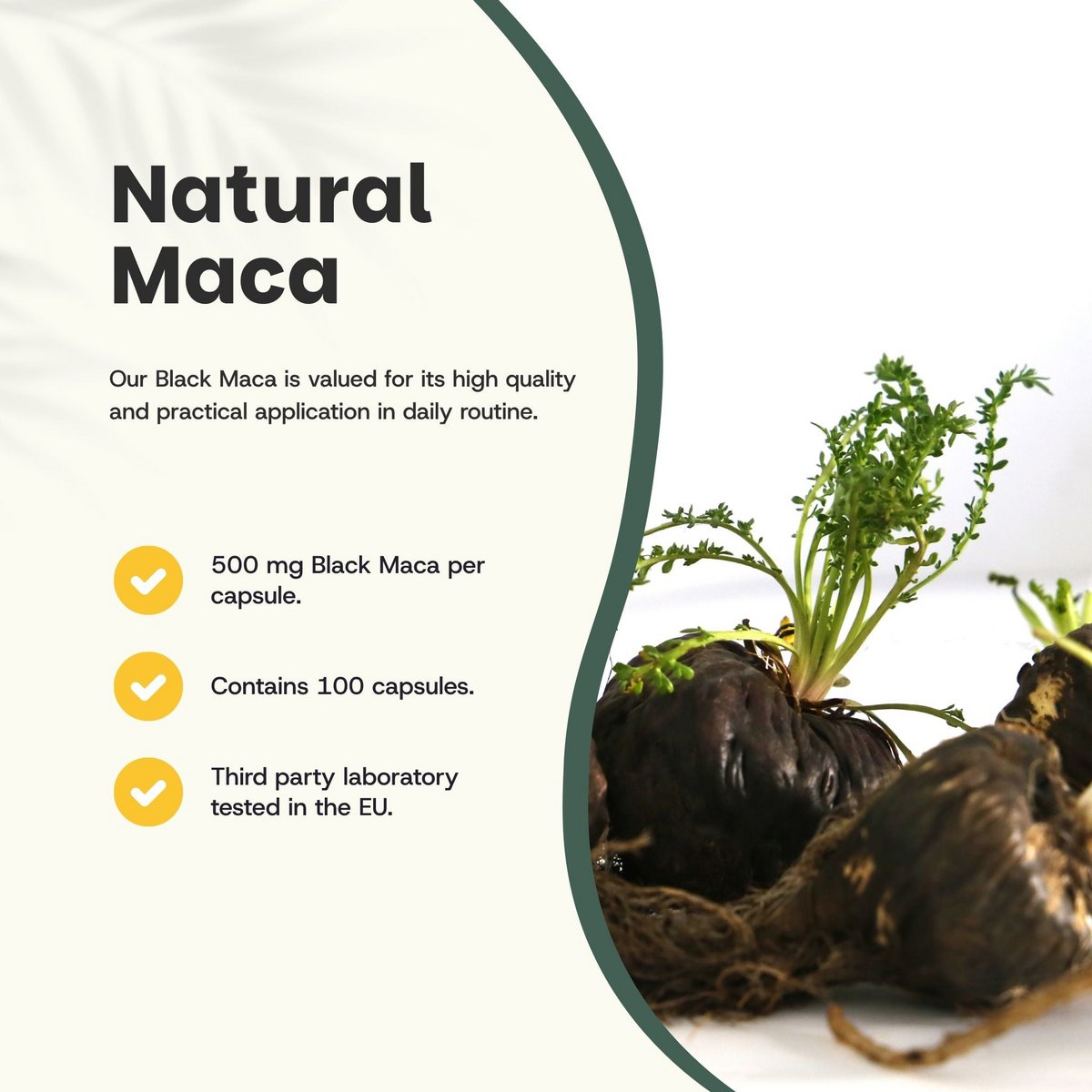 Black Maca Capsules 500mg Organic -  100 Capsules