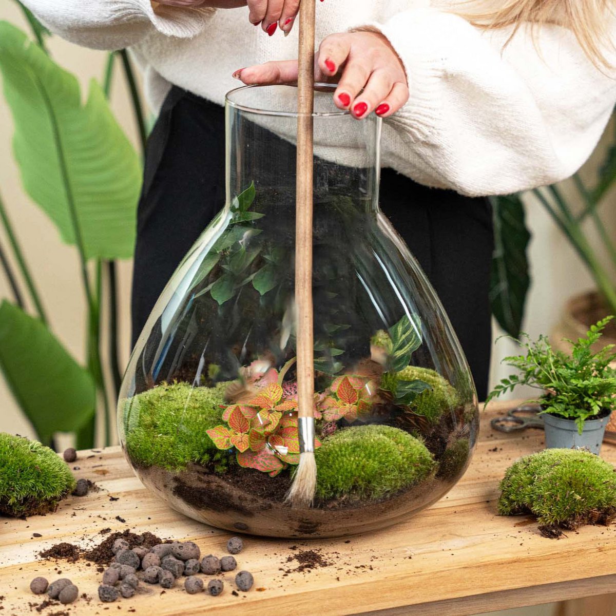 Szczotka do terrarium dla roślin - Drewno - długość 60 cm