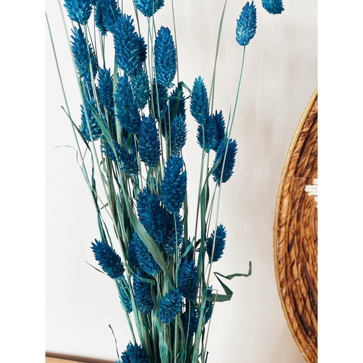 Flores secas azules Phalaris