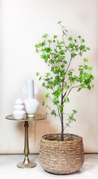 Kunstplant - Tropseolum - Oost Incististy - 210 cm