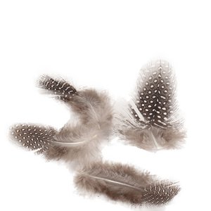Hühnerfedern natur, Box zu 45 Gramm, Länge ca.3 - 6 cm
