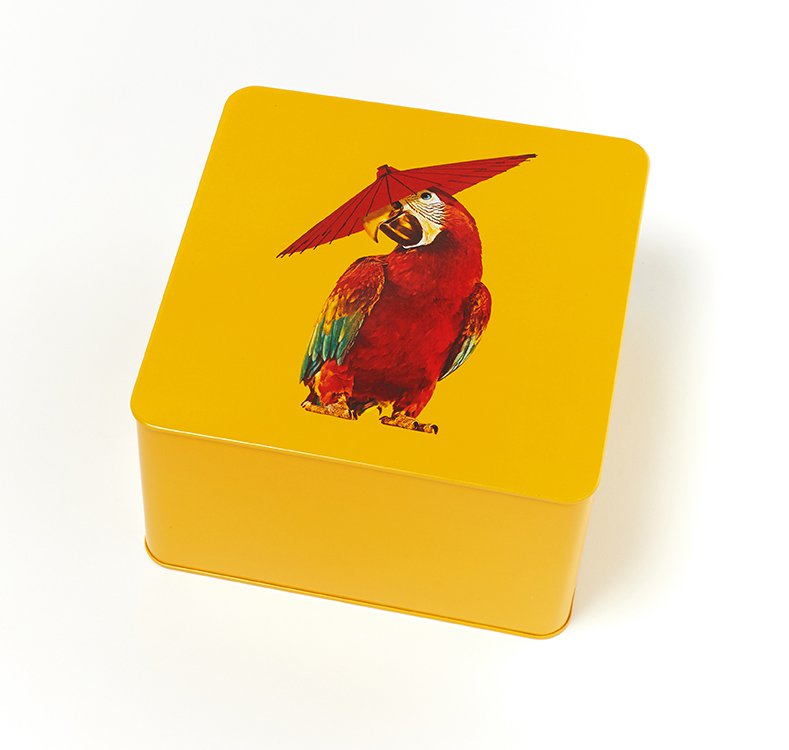 Raincoat square metal tin box