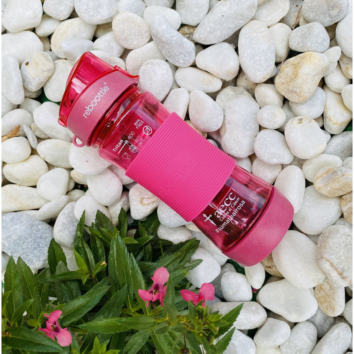 botella · TEA ROSA AECC - Botella sostenible para beber