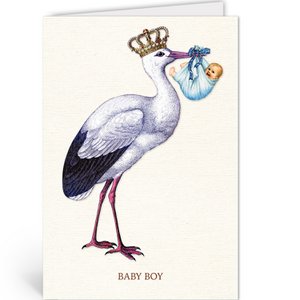 NBA063 - Baby Boy