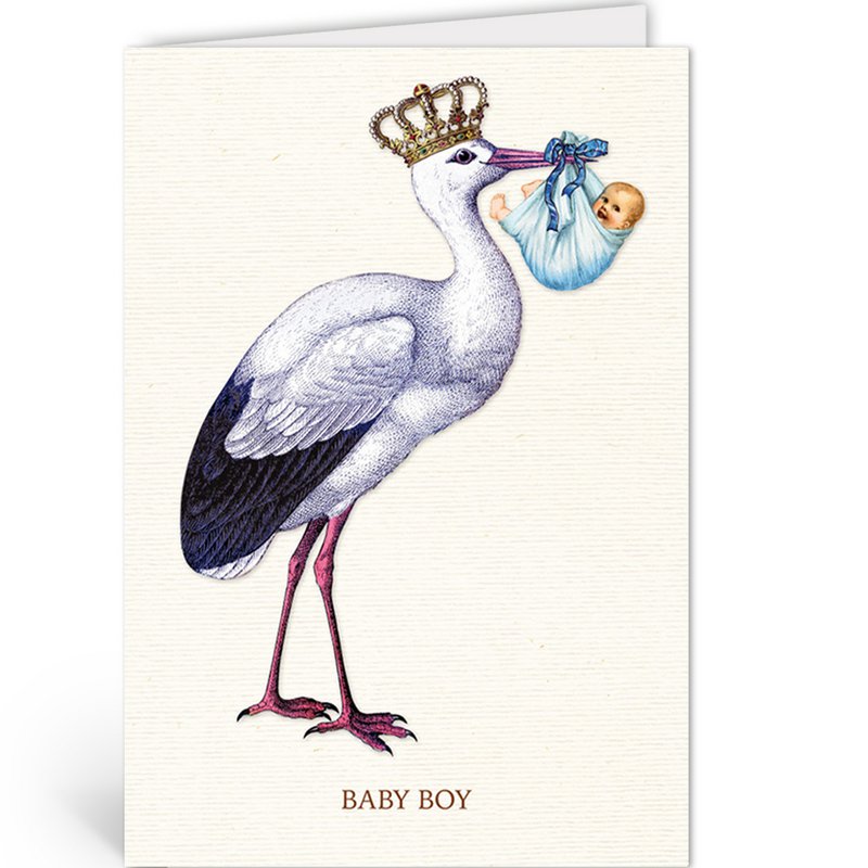 NBA063 - Baby Boy