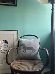 Dachshund / Teckel -pude + inde i puden