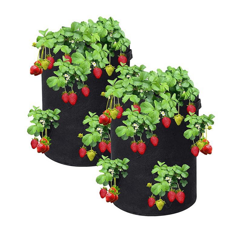 Erdbeer-Growbag 38 Liter