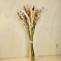 Bukiety BLOOMY Suszone kwiaty Beżowy