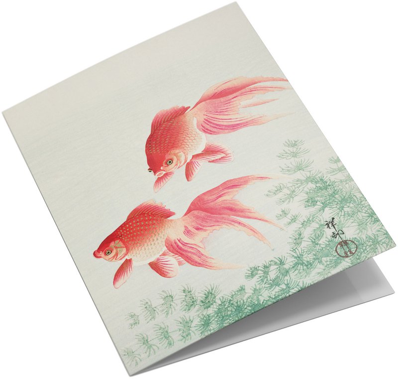 Conjunto de tarjetas de felicitación Estampados de animales