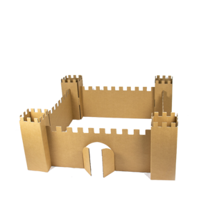 Cardboard Playing Fortress