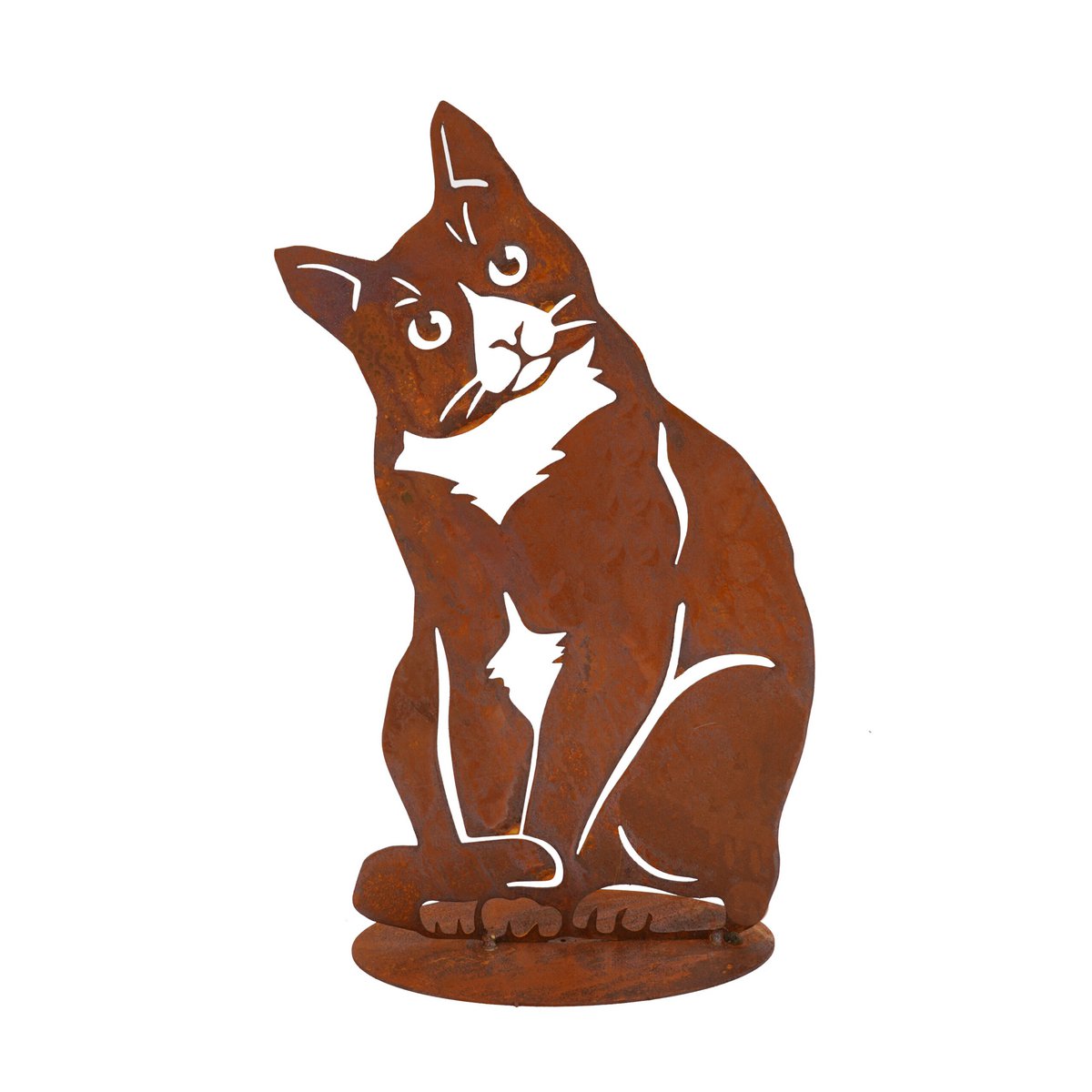 Gato Leonie de acero inoxidable con aspecto de acero Coten