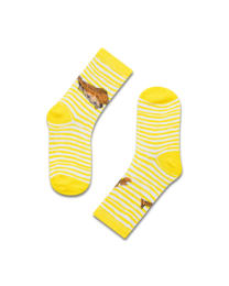 koaa – Pippi Calzelunghe Stripes – Easy Calzini giallo/bianco