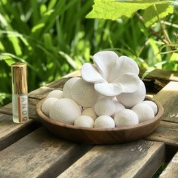 BALI udsender