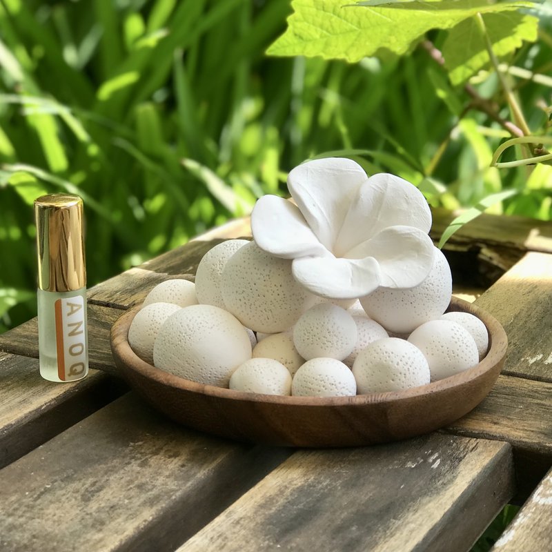 BALI udsender