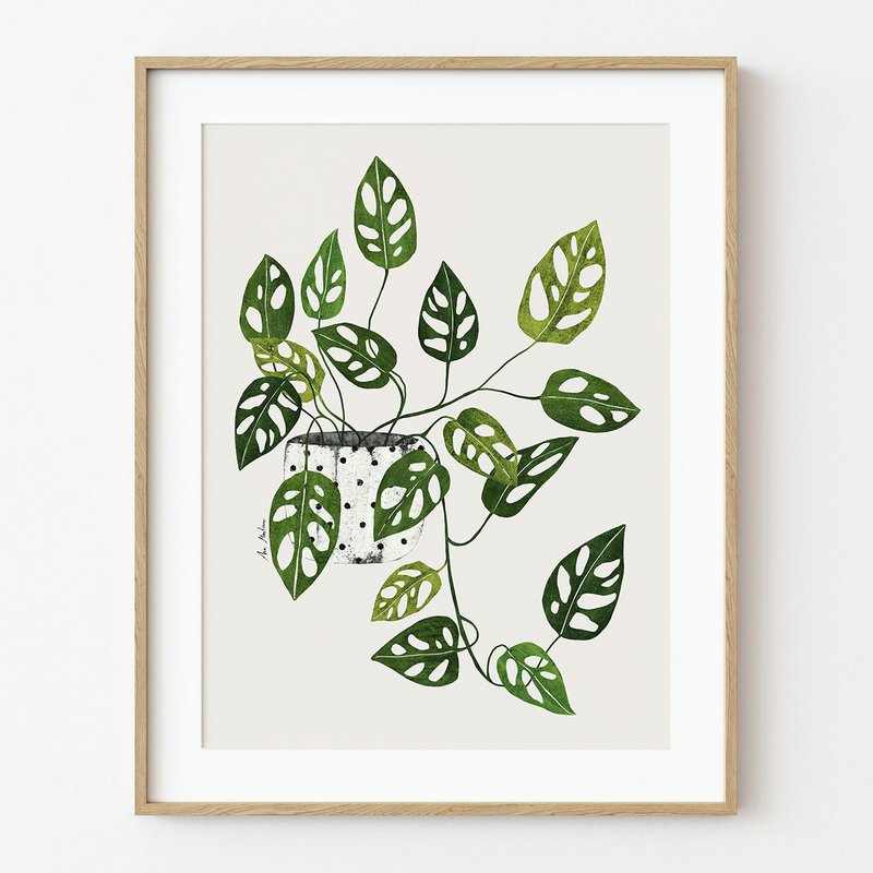 Monstera Obliqua kunsttryk