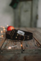 Collar per cani in pelle morbida dal marchio di cuccioli soffici, rivetti decorativi tra cui scegliere, made a mano!
