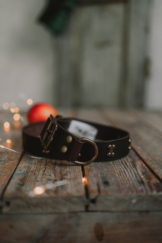 Collar per cani in pelle morbida dal marchio di cuccioli soffici, rivetti decorativi tra cui scegliere, made a mano!