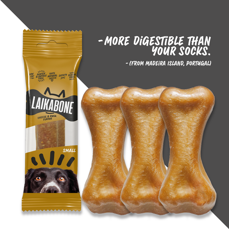 Dog behandler ost og ænder tygg (boks)