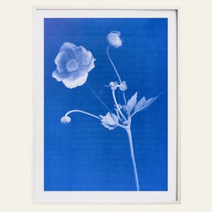 Risography - Atprint Poster - Anman - Day 1