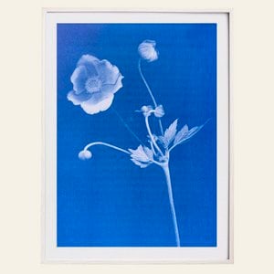 Risography - Atprint Poster - Anman - Day 1