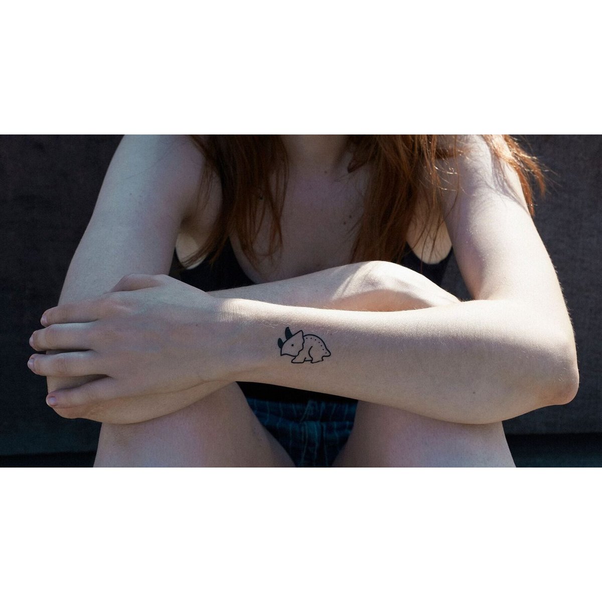 Temporary tattoo: Dinosaur